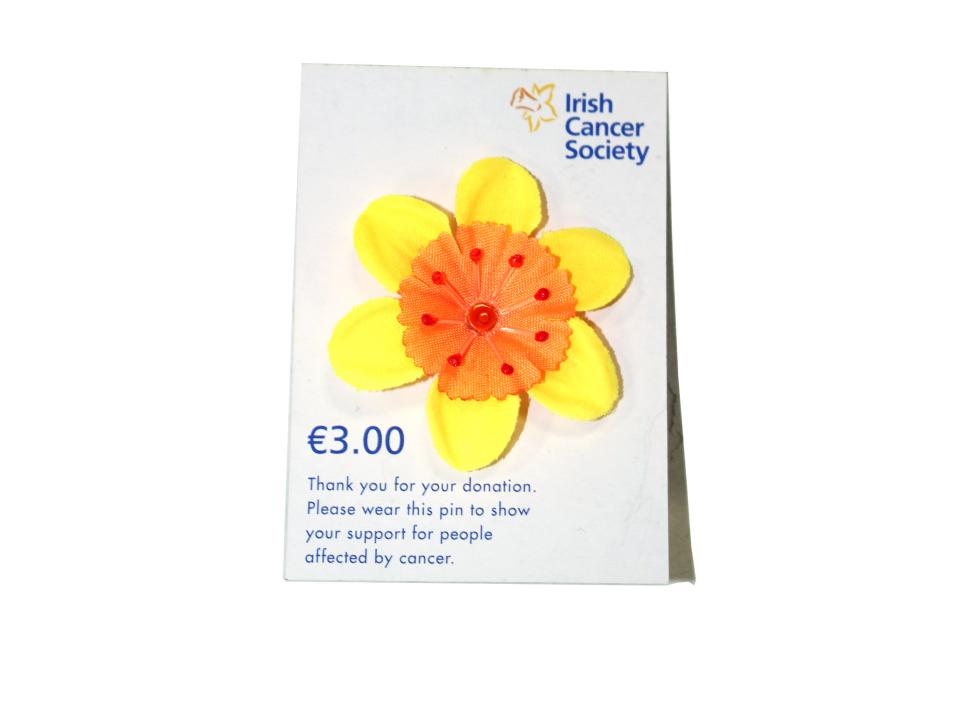 Daffodil Day Reusable Cup Irish Cancer Society [ 720 x 960 Pixel ]