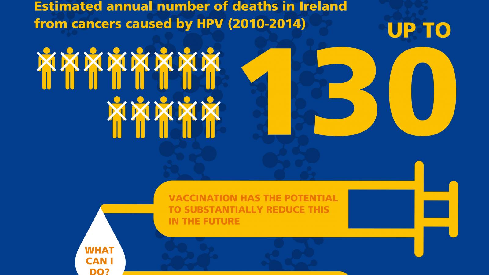 HPV_Infographic B