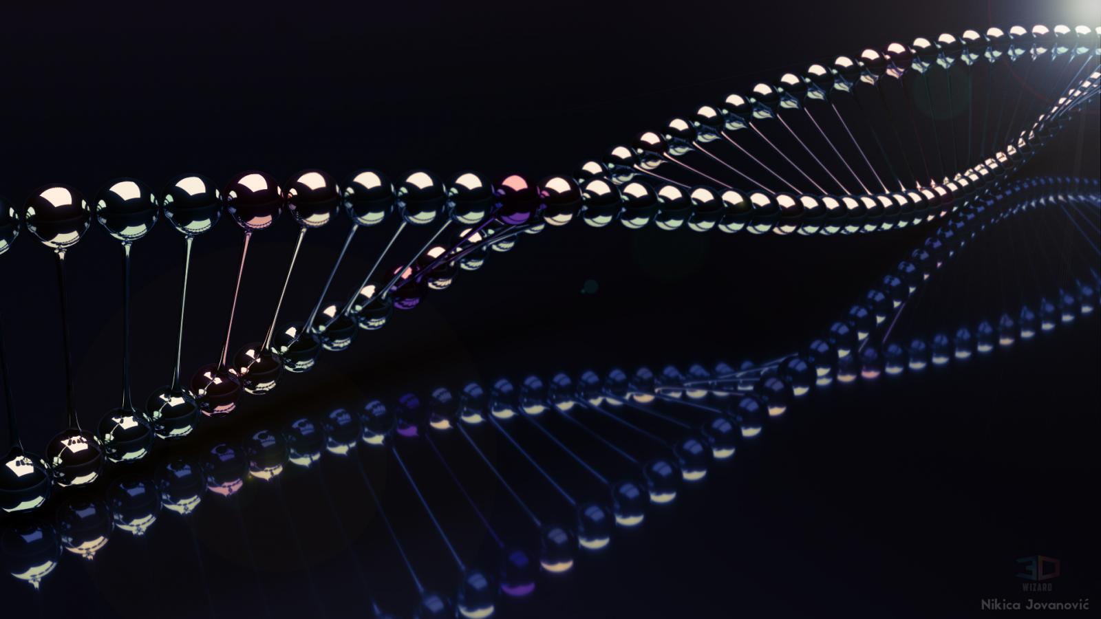 A model showing DNA strands