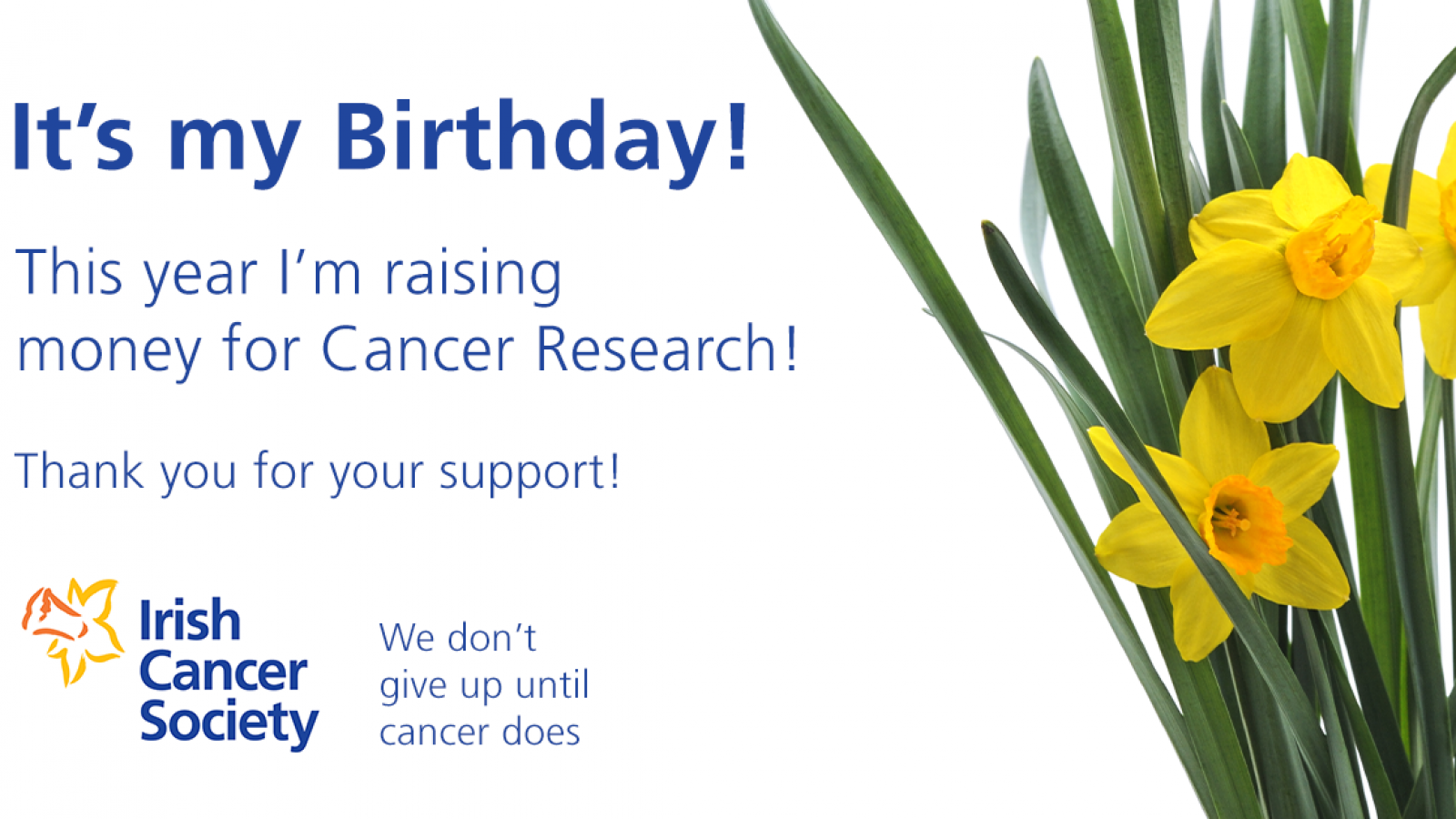 Banner - Facebook birthday fundraising with daffodils