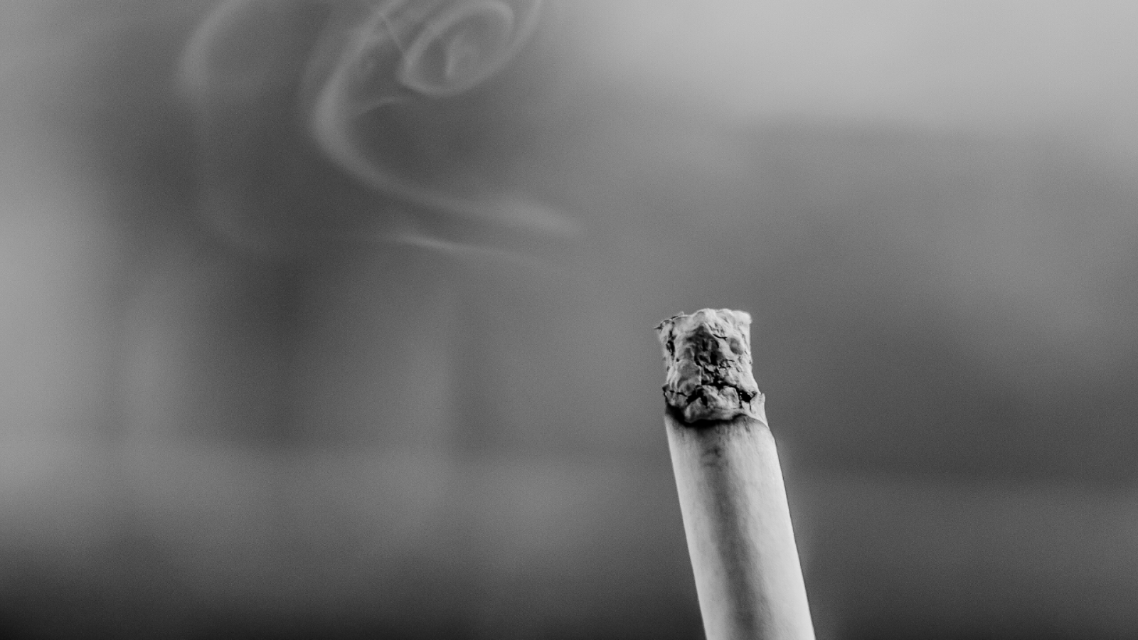 cigarette smoke
