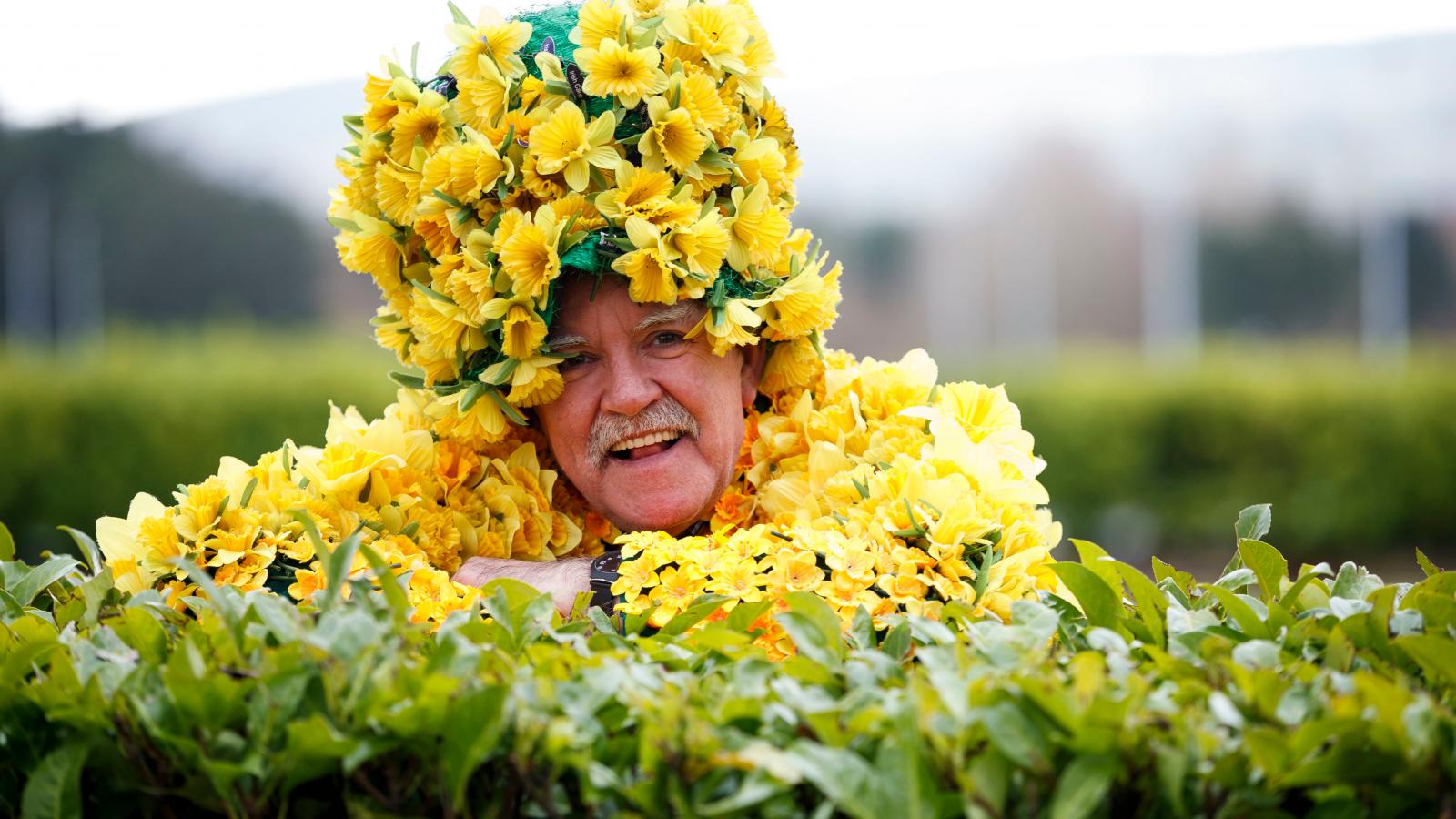 Daff Man Daffodil Day volunteer James Gilleran, Dublin