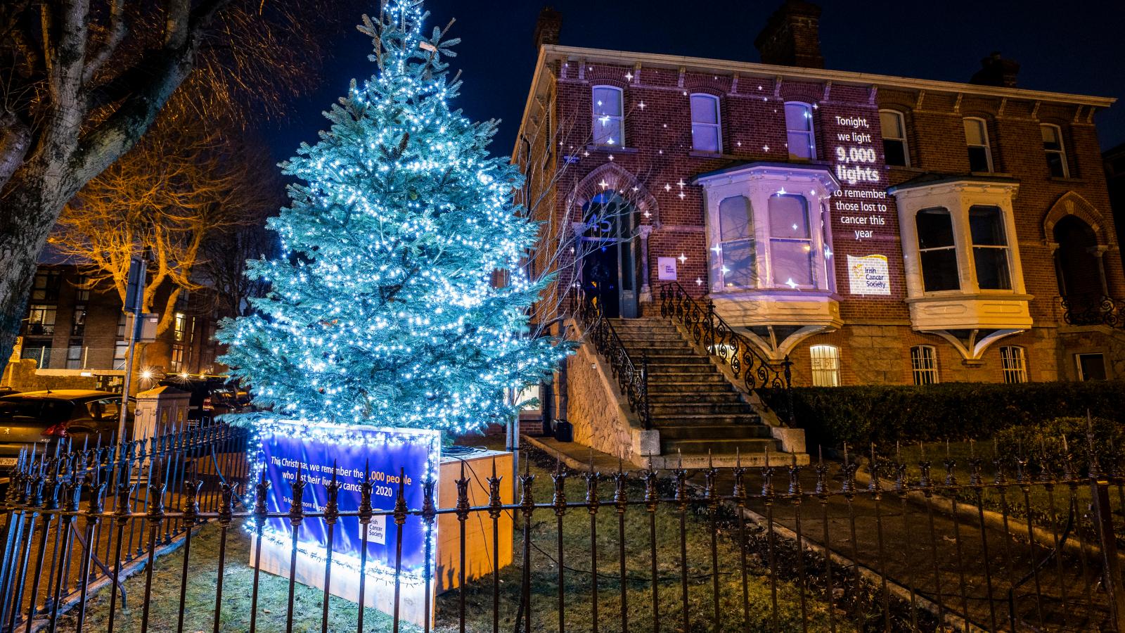 Christmas tree light up