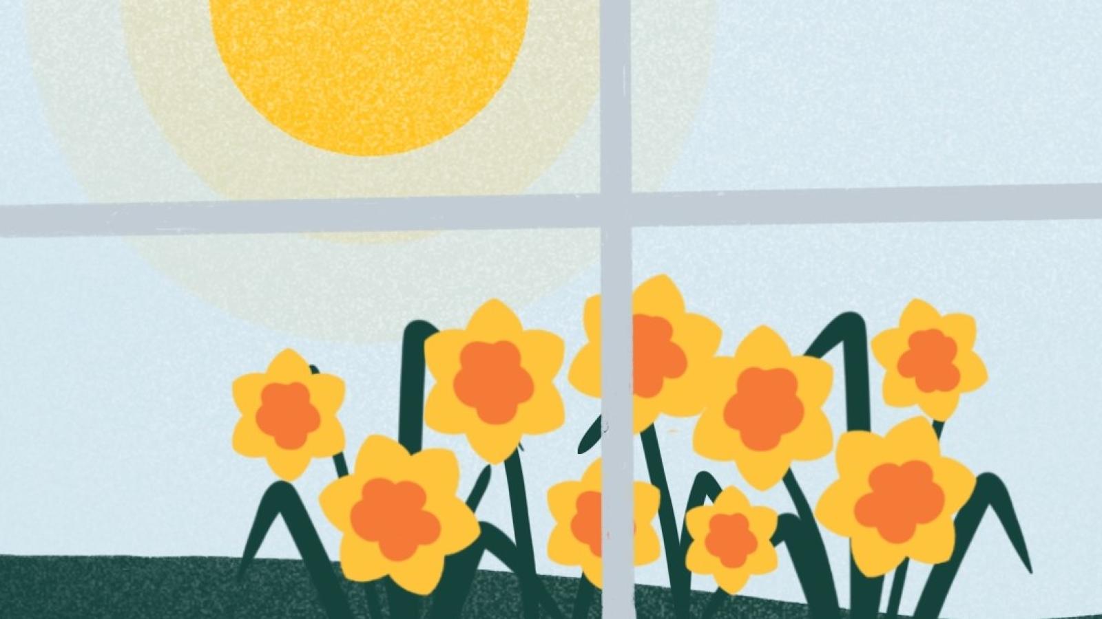 Daffodils on a windowsill