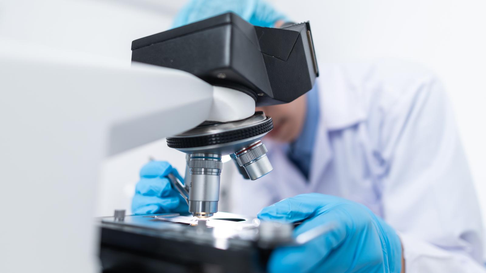 Summer studentship