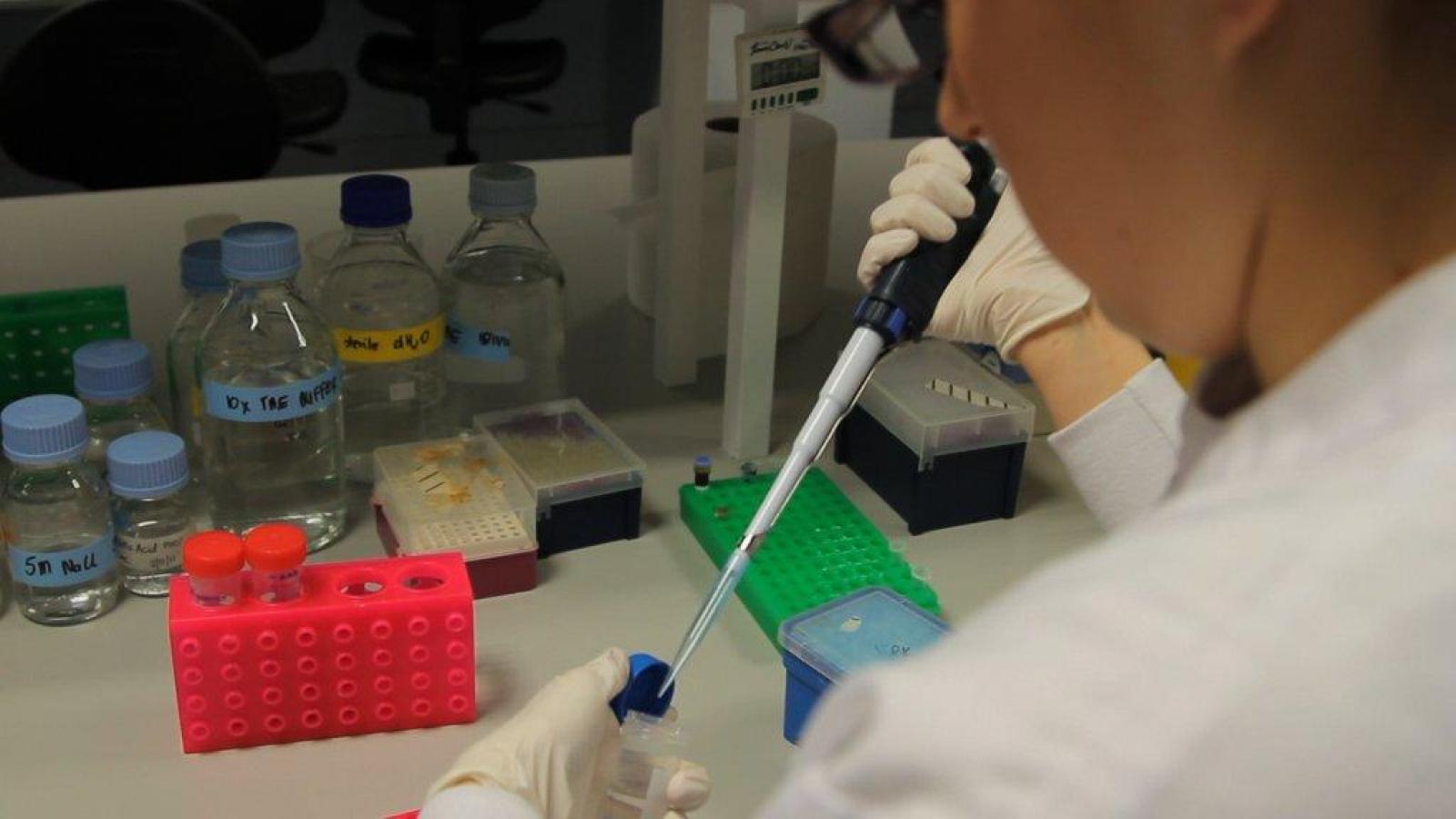 Irish Cancer Society welcomes research funding on ...