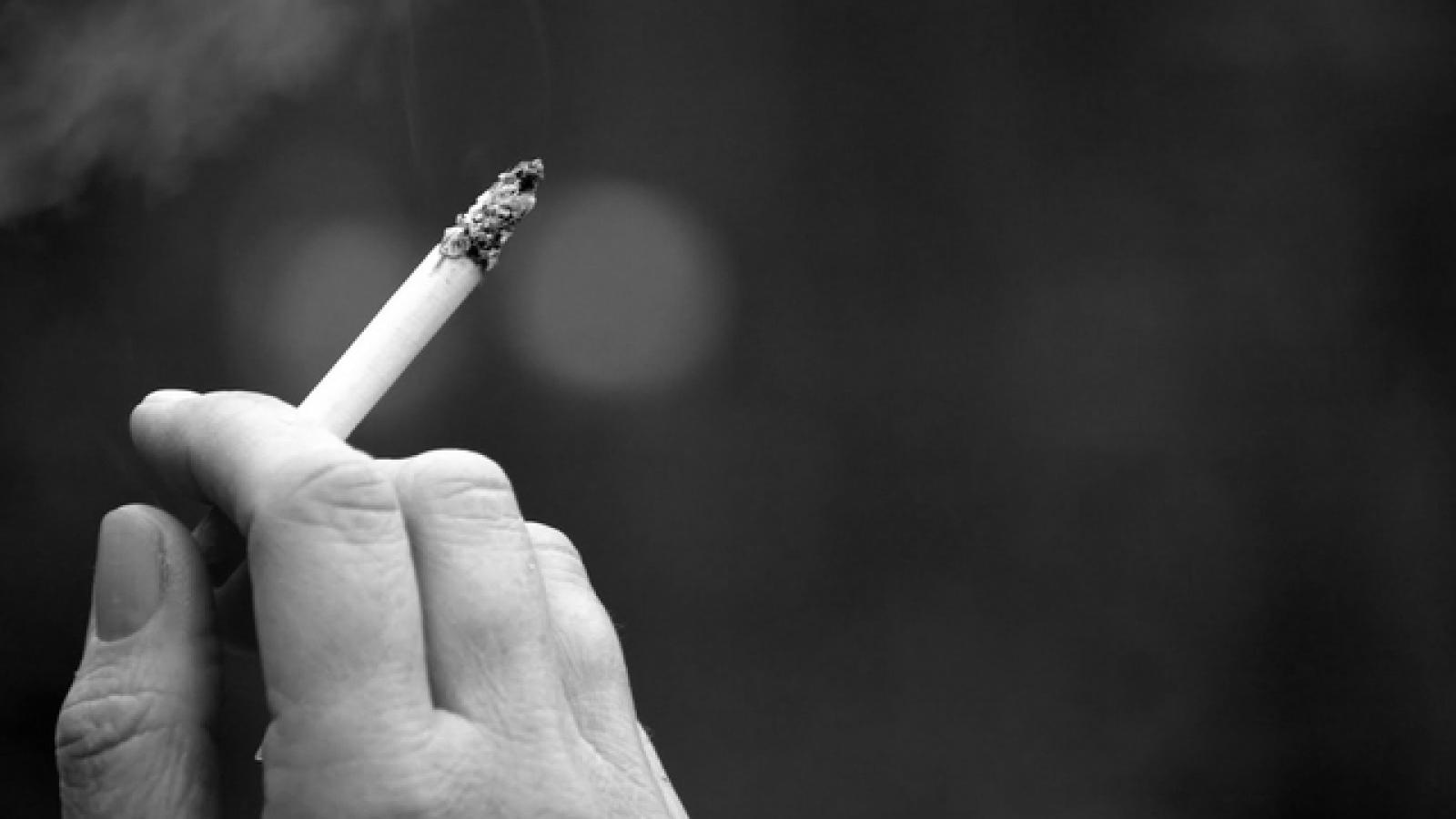 What are the types of lung cancer? | Irish Cancer Society